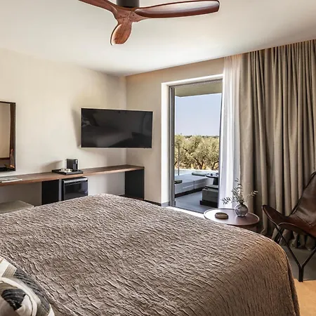 King Jason Zante - Designed For Adults Plános