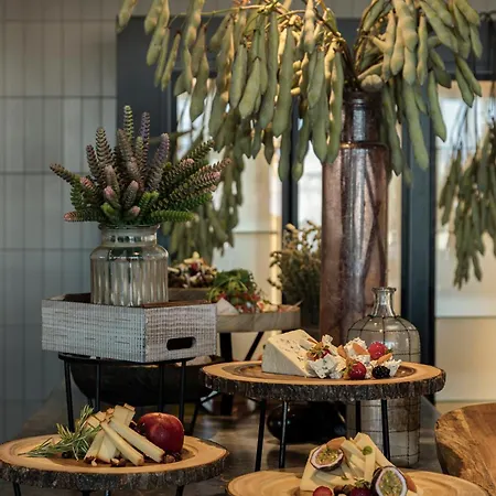 King Jason Zante - Designed For Adults Hotel 5*
