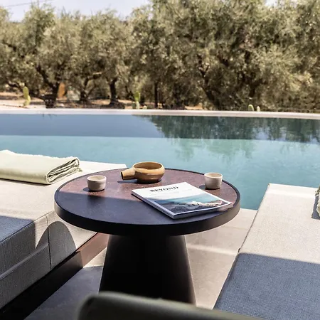 King Jason Zante - Designed For Adults Hotel