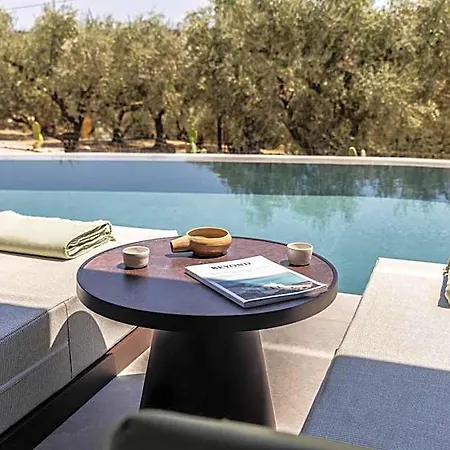 King Jason Zante - Designed For Adults 5*