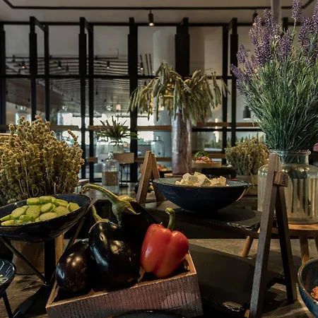 King Jason Zante - Designed For Adults Hotel