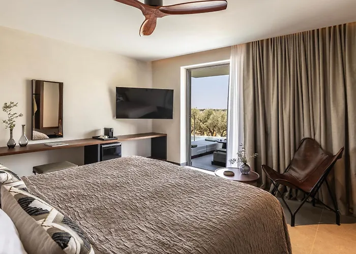 King Jason Zante - Designed For Adults Plános